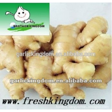 dried ginger price/ginger types/export of agriculture products